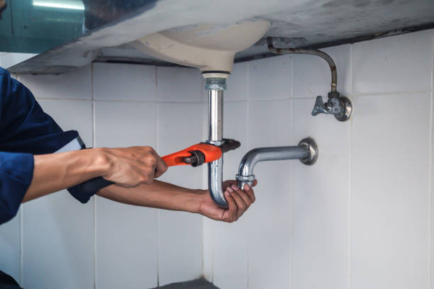Best 24-Hour Plumber Near Me  in Hart, MI