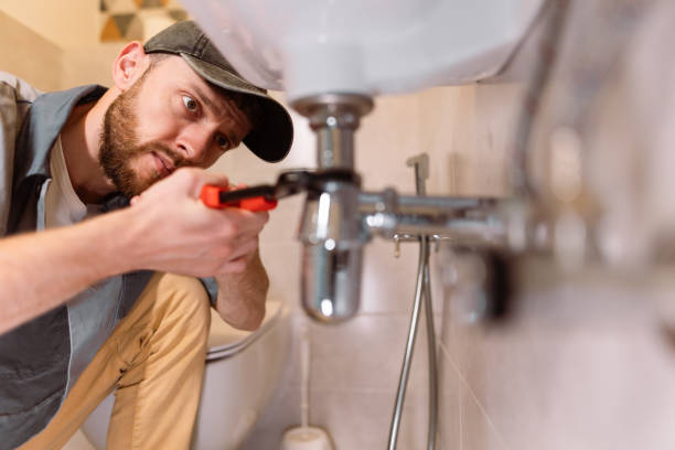 Best Same-Day Plumbing Service  in Hart, MI